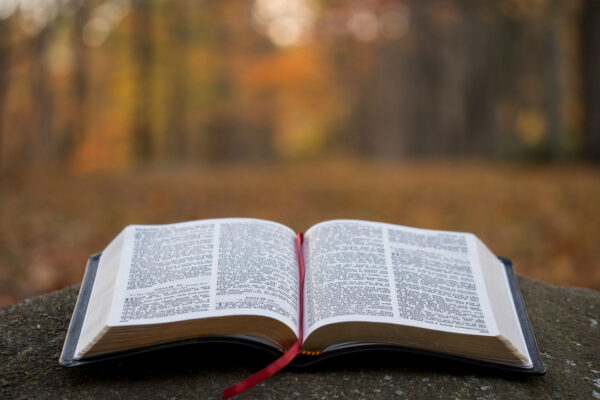 Faith Resources