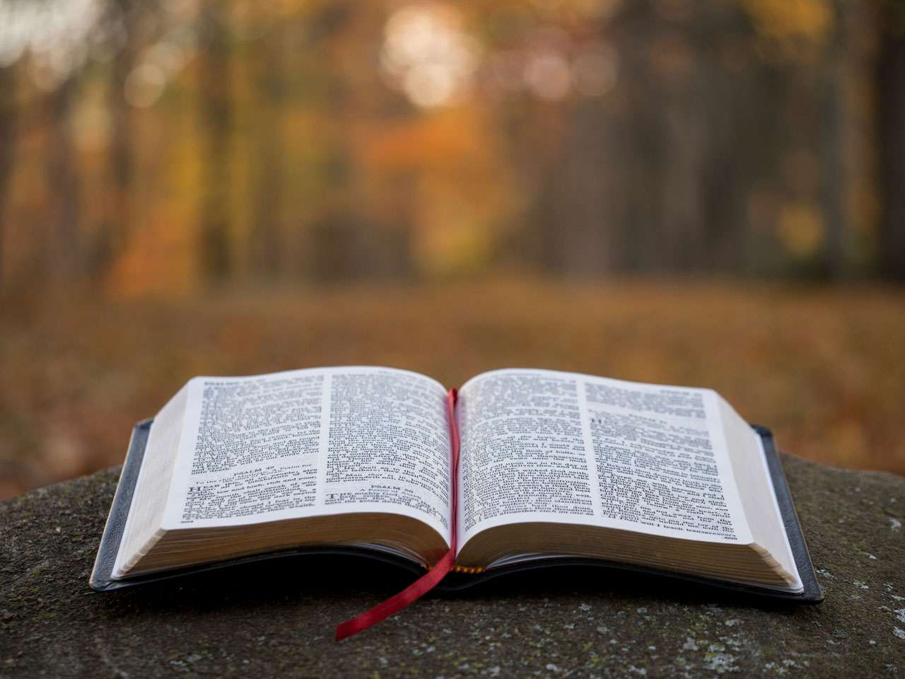 Faith Resources