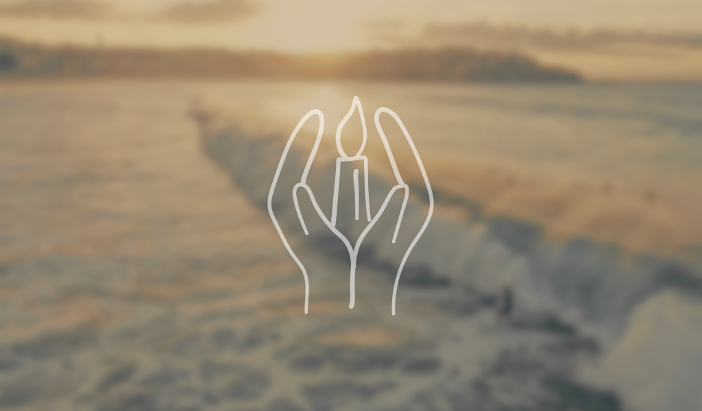 Bondi Banner - Website 1024x768