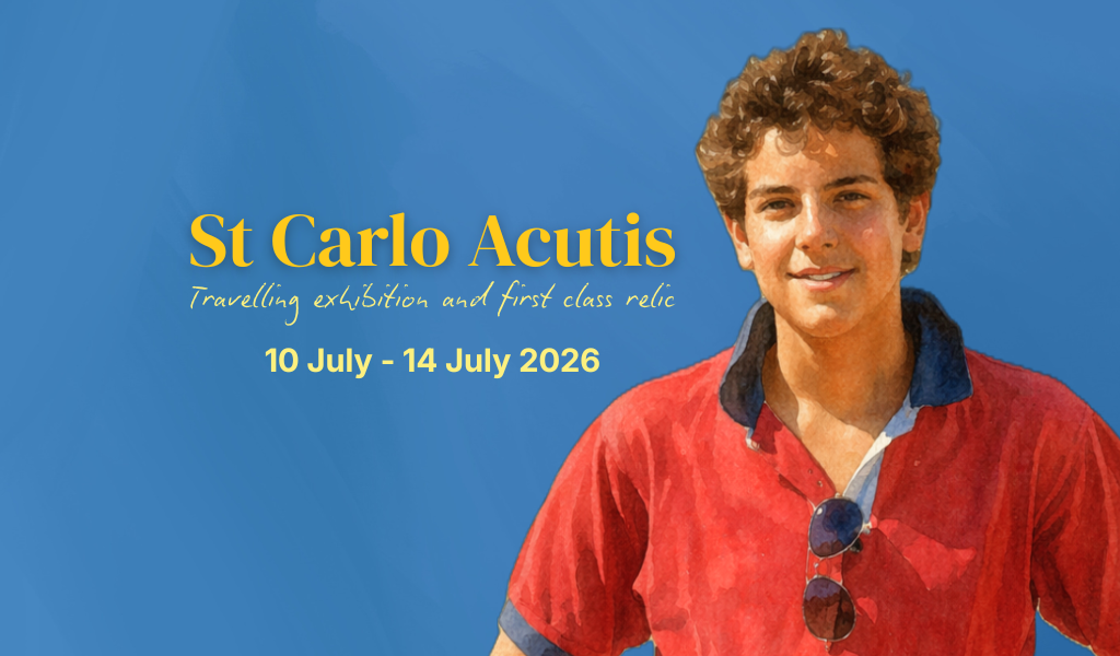 WEBSITE StCarlo Carousel